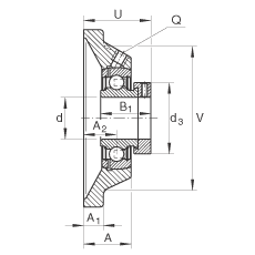 軸承座單元 PCJ50-N-FA125, 帶四個(gè)螺栓孔的法蘭的軸承座單元，鑄鐵，偏心鎖圈，P型密封，耐腐蝕保護(hù)