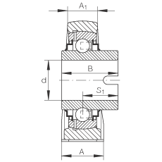 直立式軸承座單元 RASEL20-N, 鑄鐵軸承座，浮動軸承，內(nèi)圈有驅(qū)動槽，R 型密封